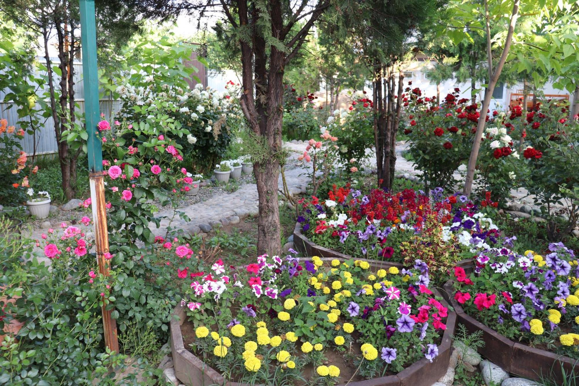 Happy Nomads Yurts & Hostel Karakol Buitenkant foto