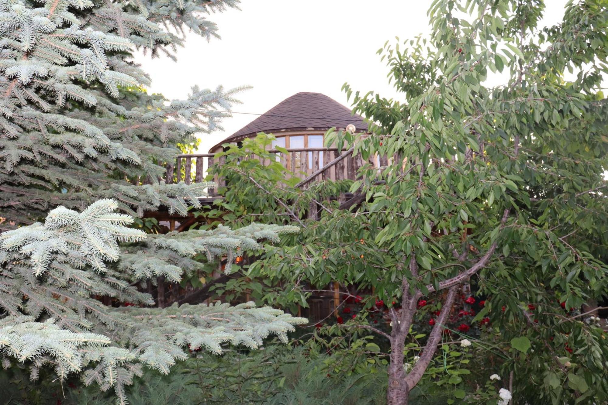 Happy Nomads Yurts & Hostel Karakol Buitenkant foto