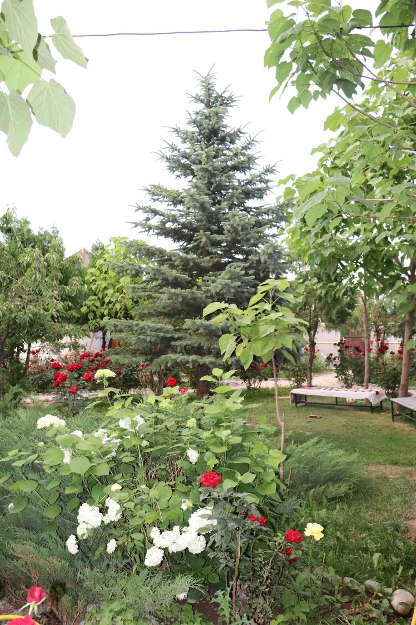 Happy Nomads Yurts & Hostel Karakol Buitenkant foto