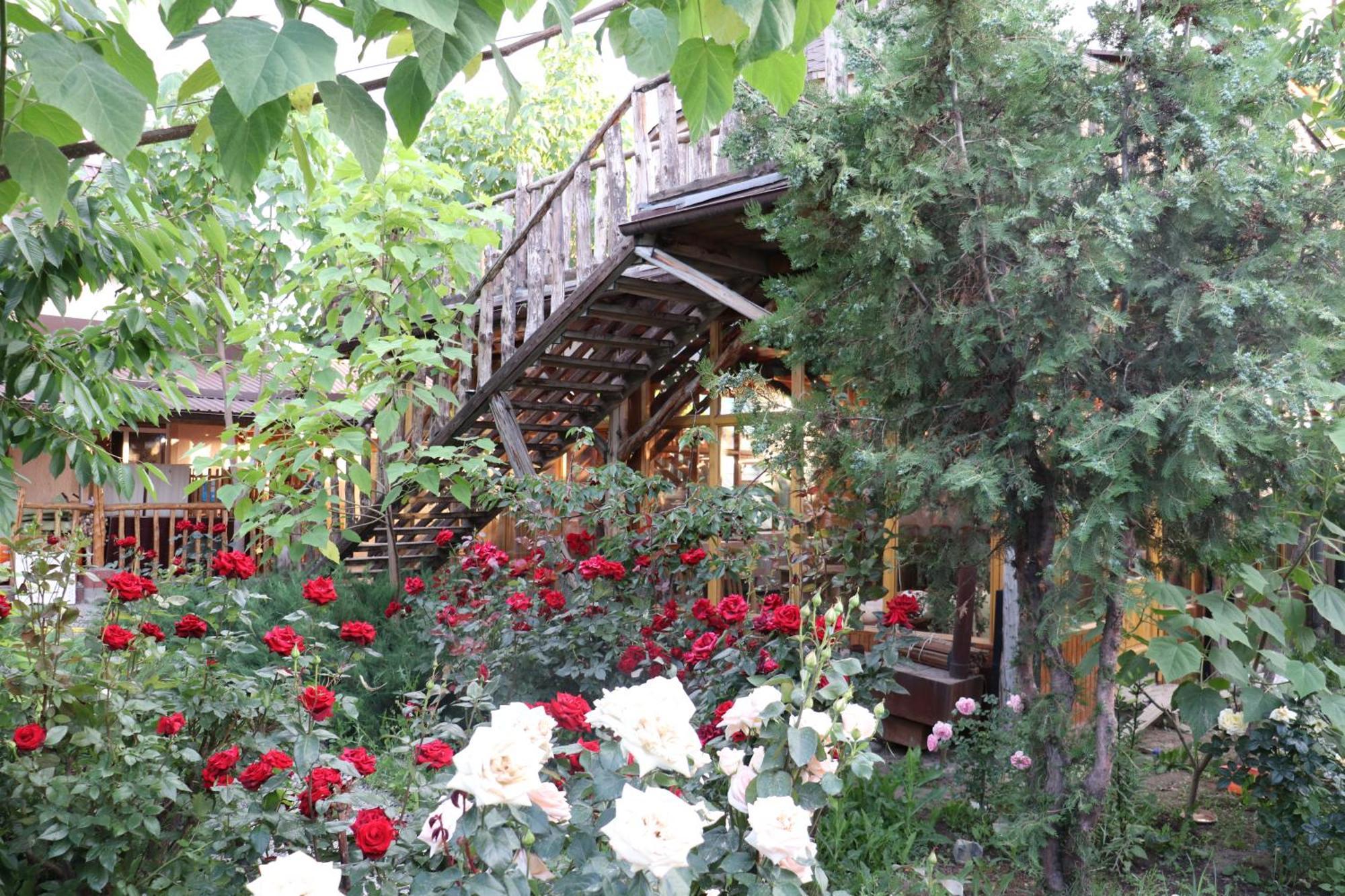 Happy Nomads Yurts & Hostel Karakol Buitenkant foto