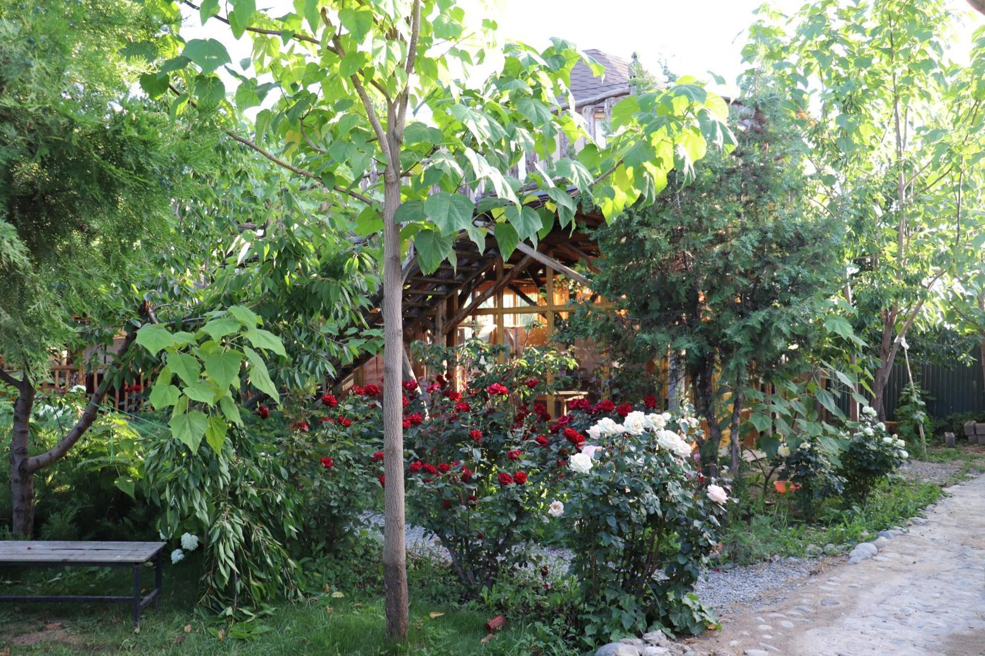 Happy Nomads Yurts & Hostel Karakol Buitenkant foto