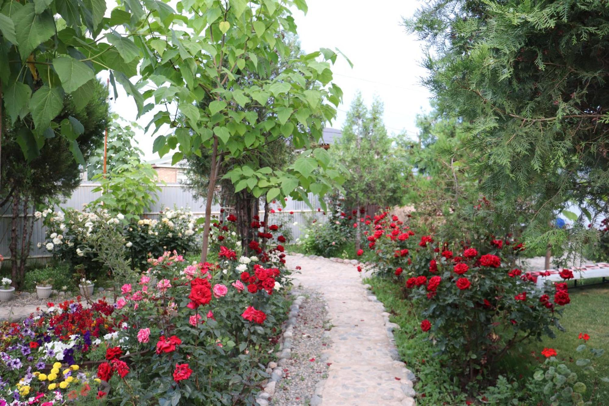 Happy Nomads Yurts & Hostel Karakol Buitenkant foto