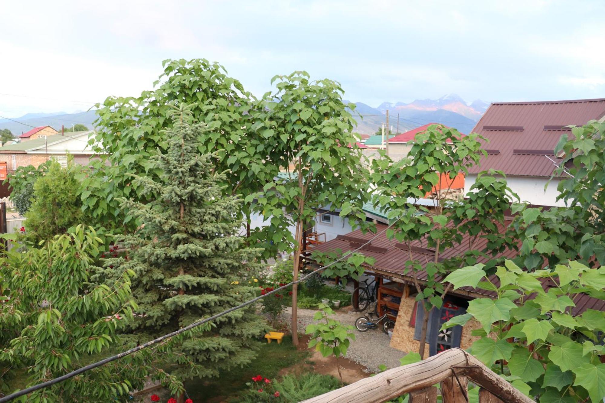 Happy Nomads Yurts & Hostel Karakol Buitenkant foto