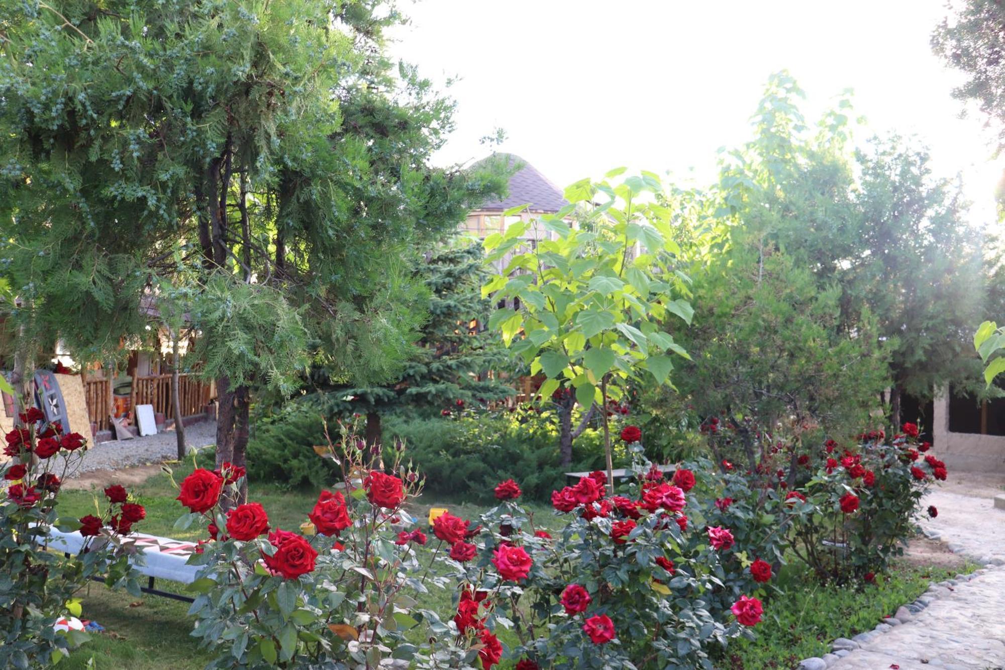 Happy Nomads Yurts & Hostel Karakol Buitenkant foto