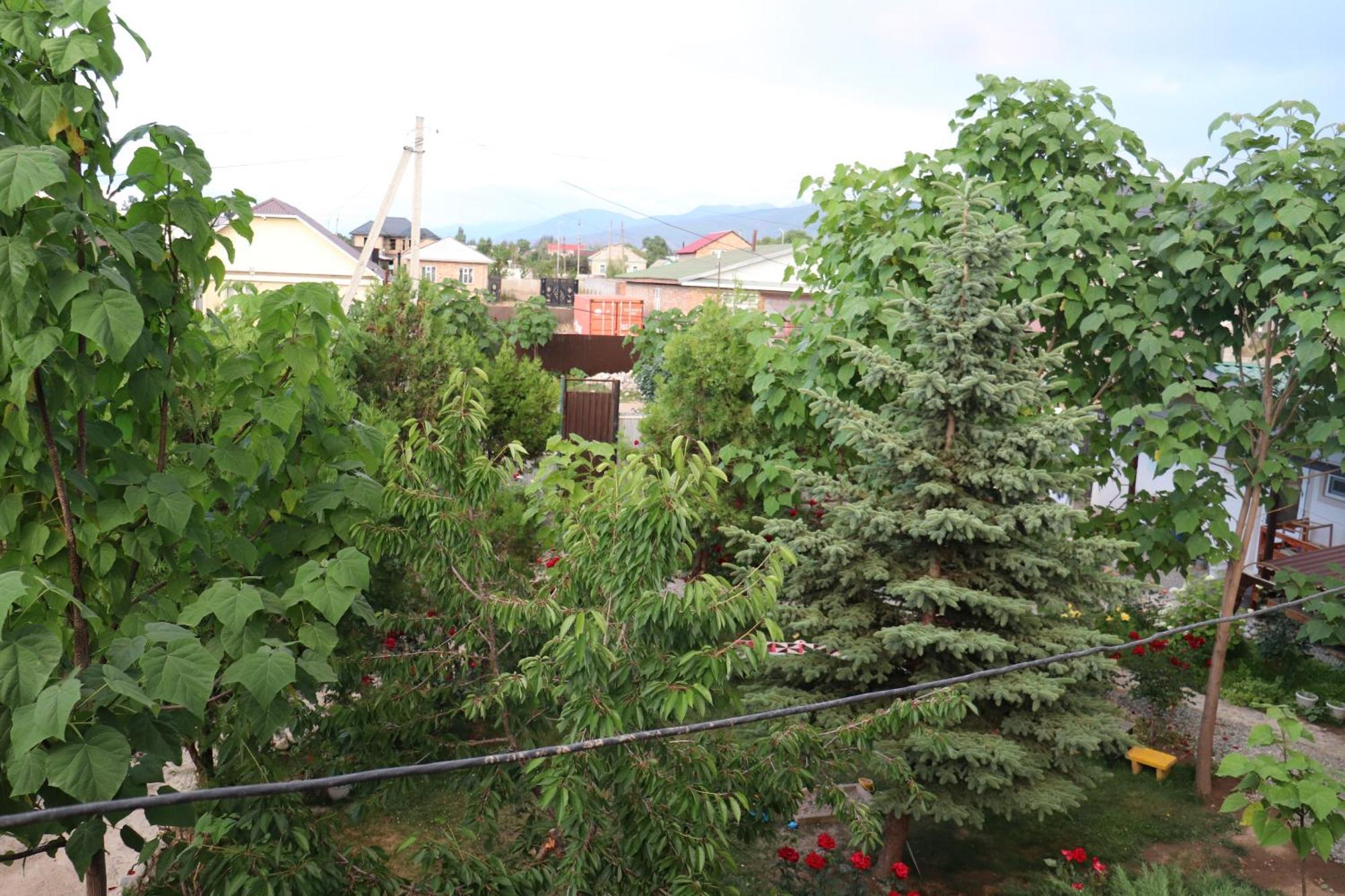 Happy Nomads Yurts & Hostel Karakol Buitenkant foto