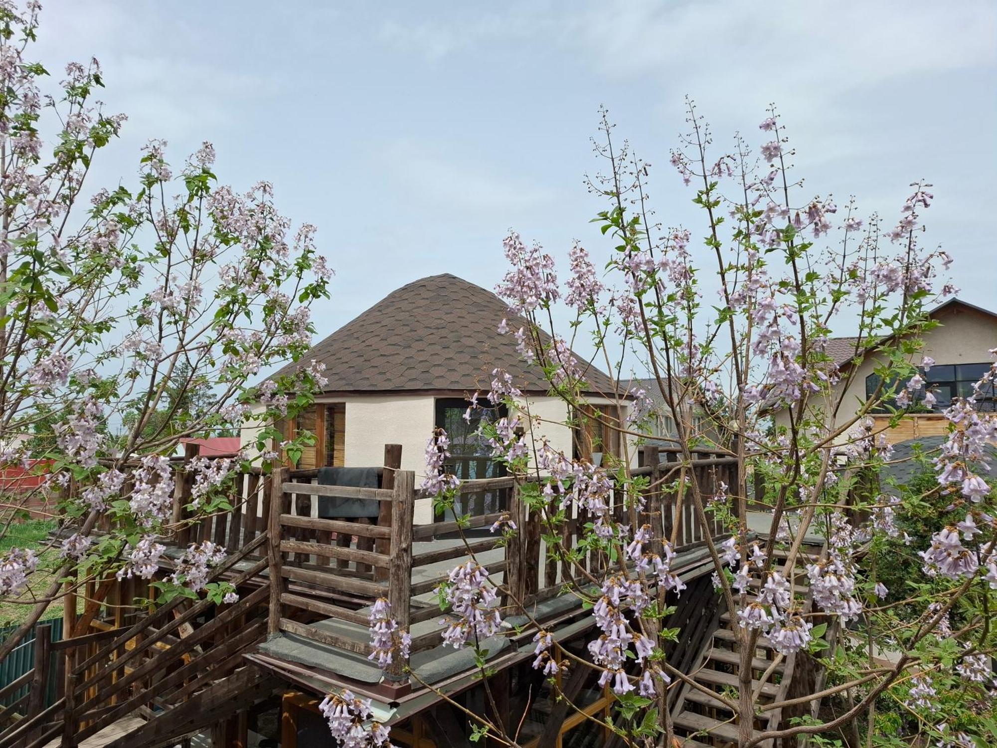 Happy Nomads Yurts & Hostel Karakol Buitenkant foto